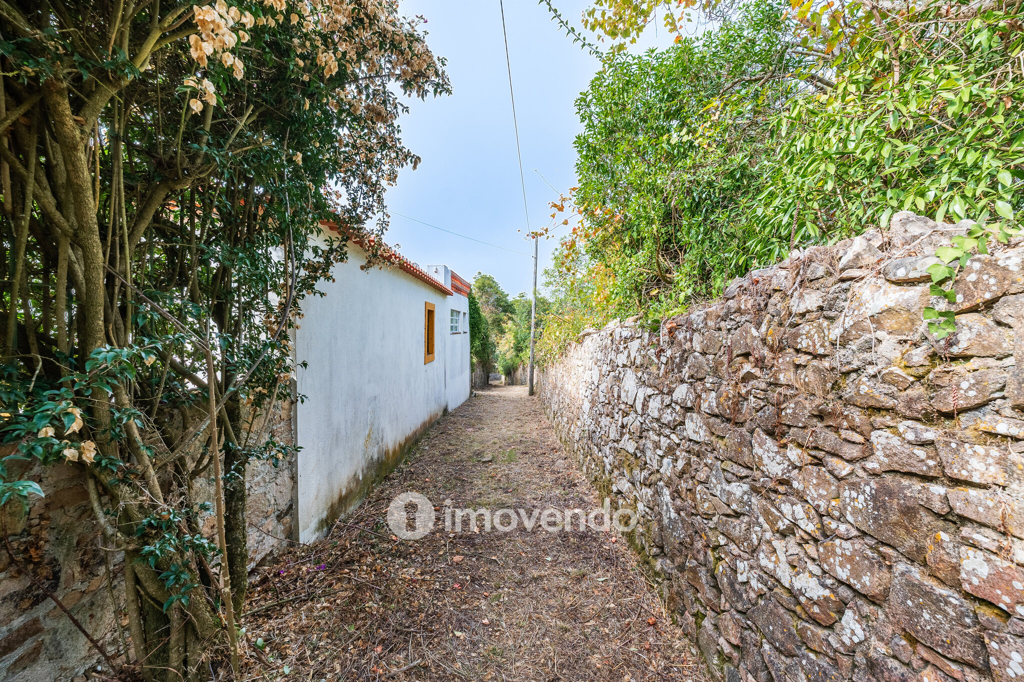 Quinta isolada T3+1 com áreas amplas e terreno de 2022m², em Colares