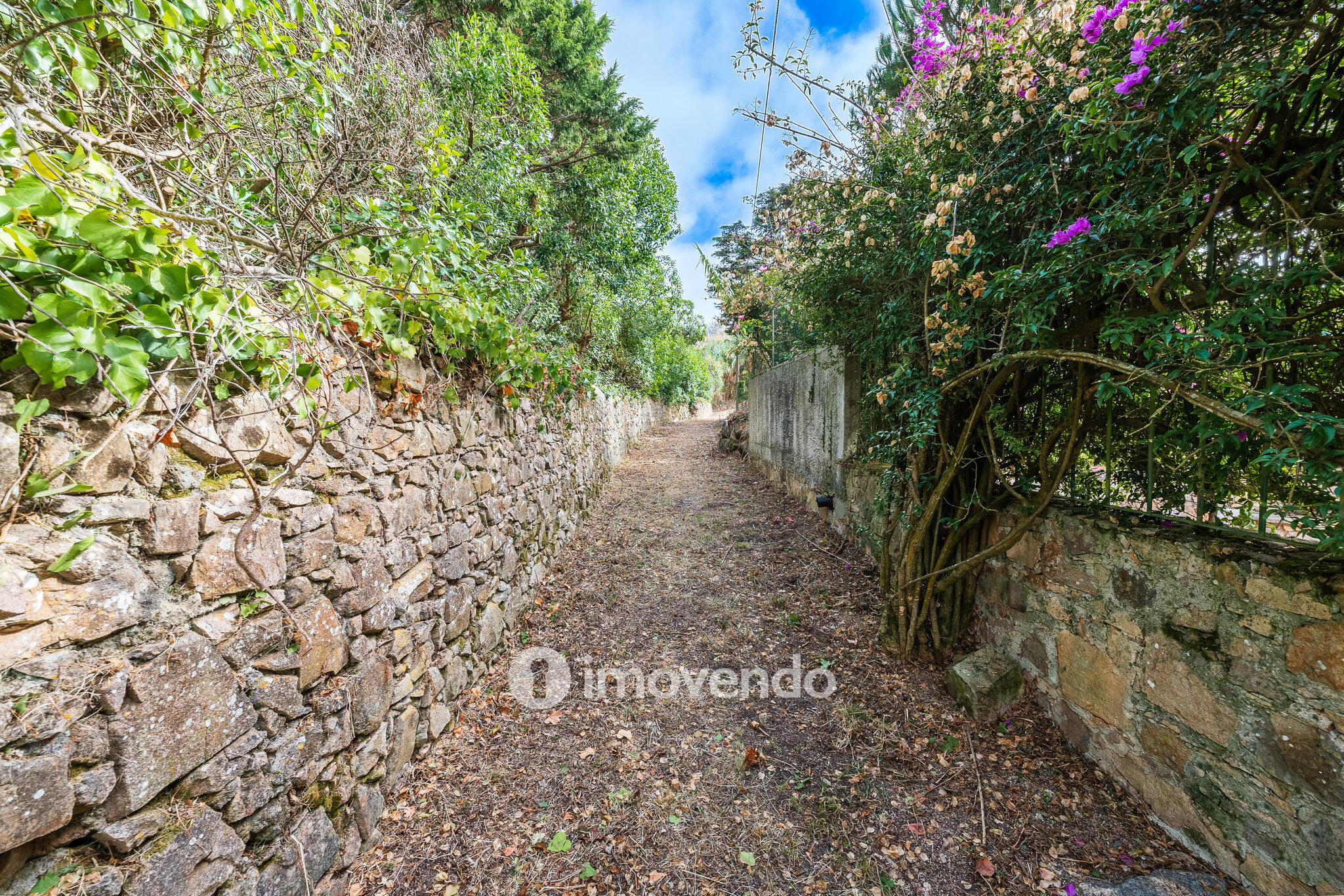 Quinta isolada T3+1 com áreas amplas e terreno de 2022m², em Colares