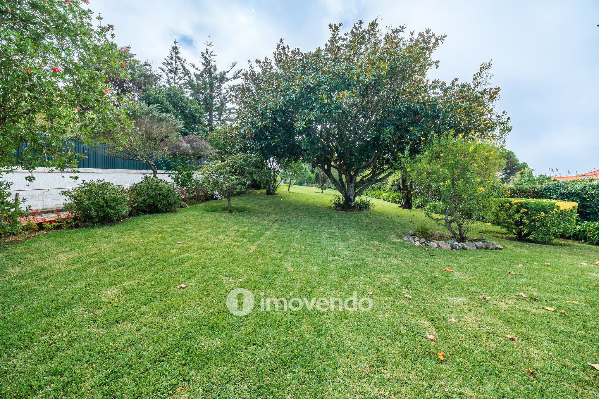 Quinta isolada T3+1 com áreas amplas e terreno de 2022m², em Colares