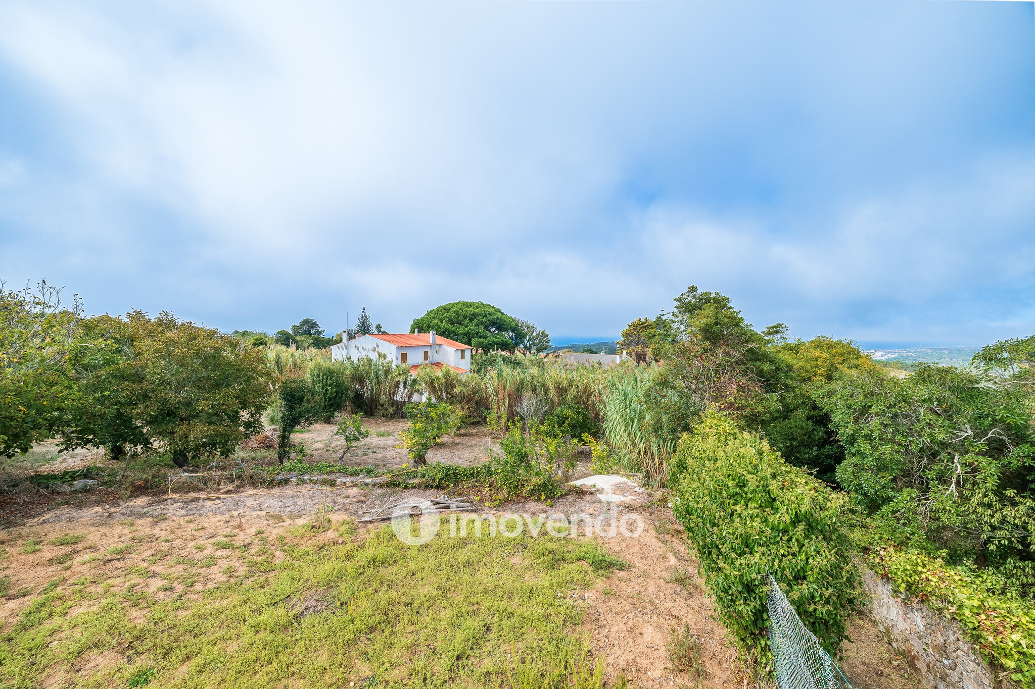 Quinta isolada T3+1 com áreas amplas e terreno de 2022m², em Colares