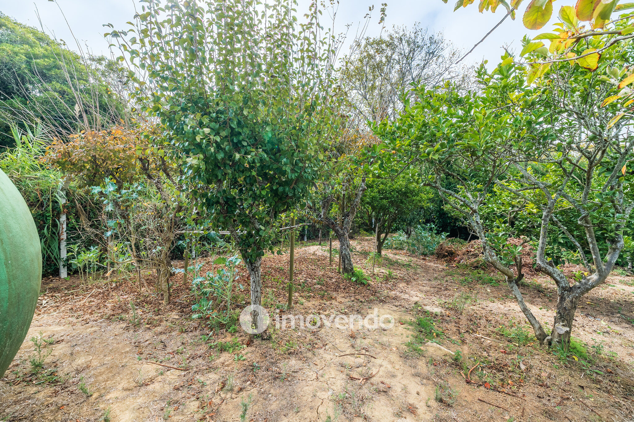 Quinta isolada T3+1 com áreas amplas e terreno de 2022m², em Colares