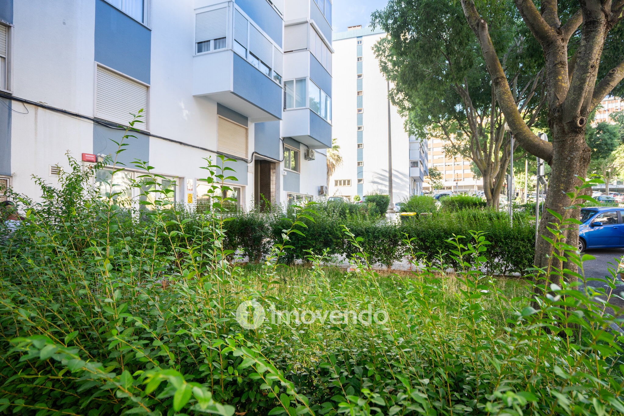 Apartamento T2, totalmente renovado e com áreas amplas, em Benfica
