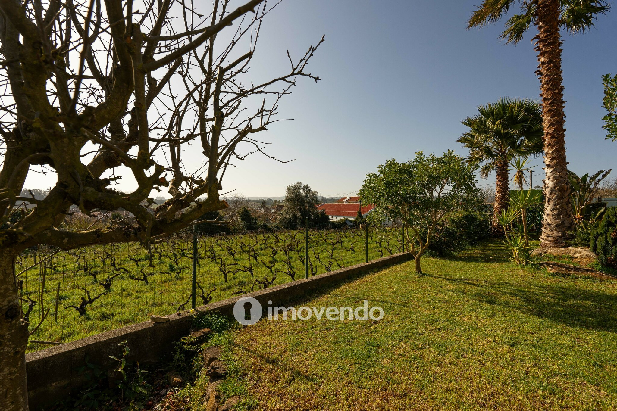Moradia T3+1 com terreno com jardim, piscina e garagem, em Alenquer
