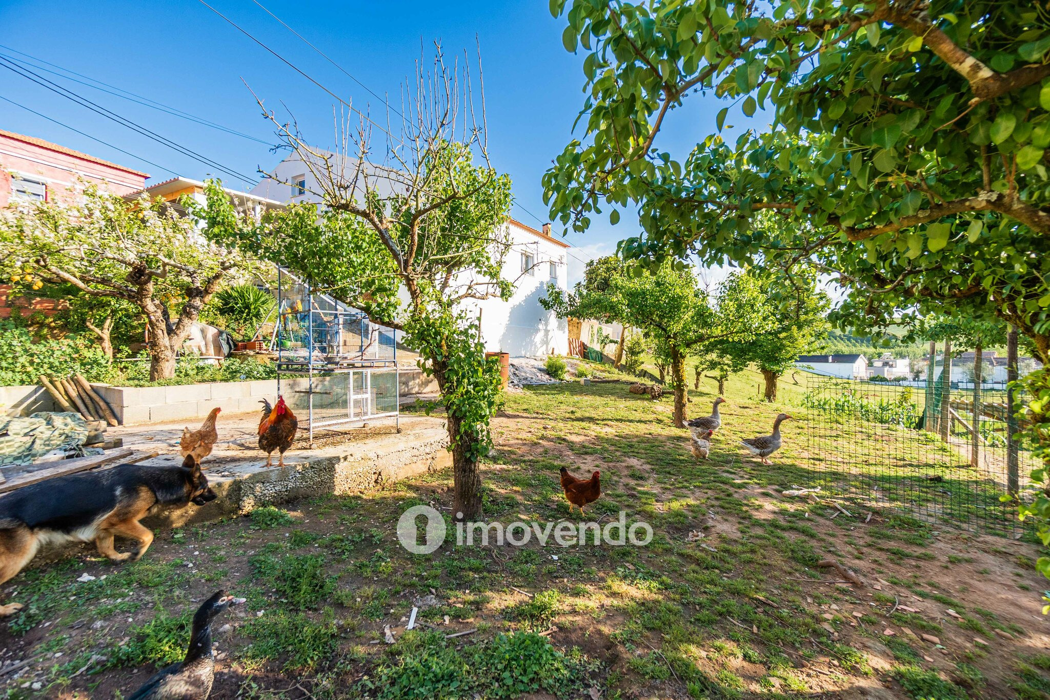 Moradia T2 remodelada, com terreno e rodeada de natureza, no Peral