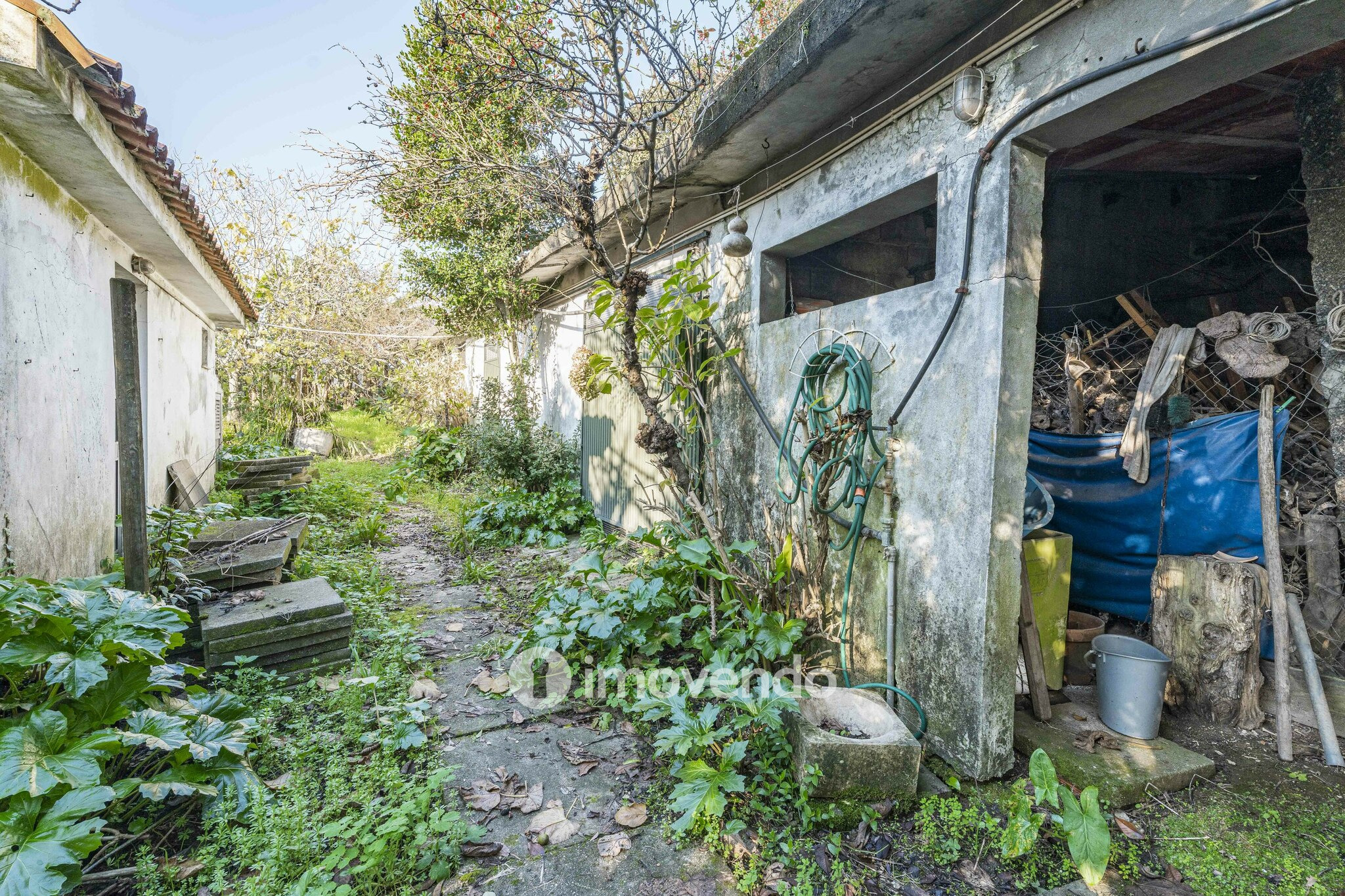 Moradia T4 para renovação, com terreno de 8000m², em Felgueiras