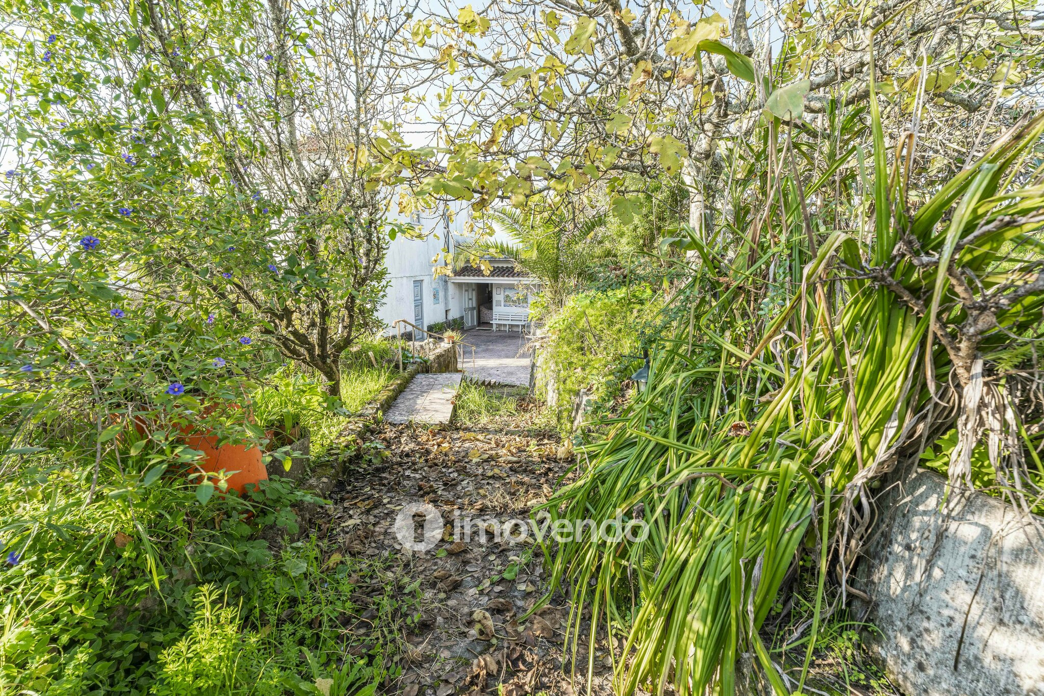 Moradia T4 para renovação, com terreno de 8000m², em Felgueiras