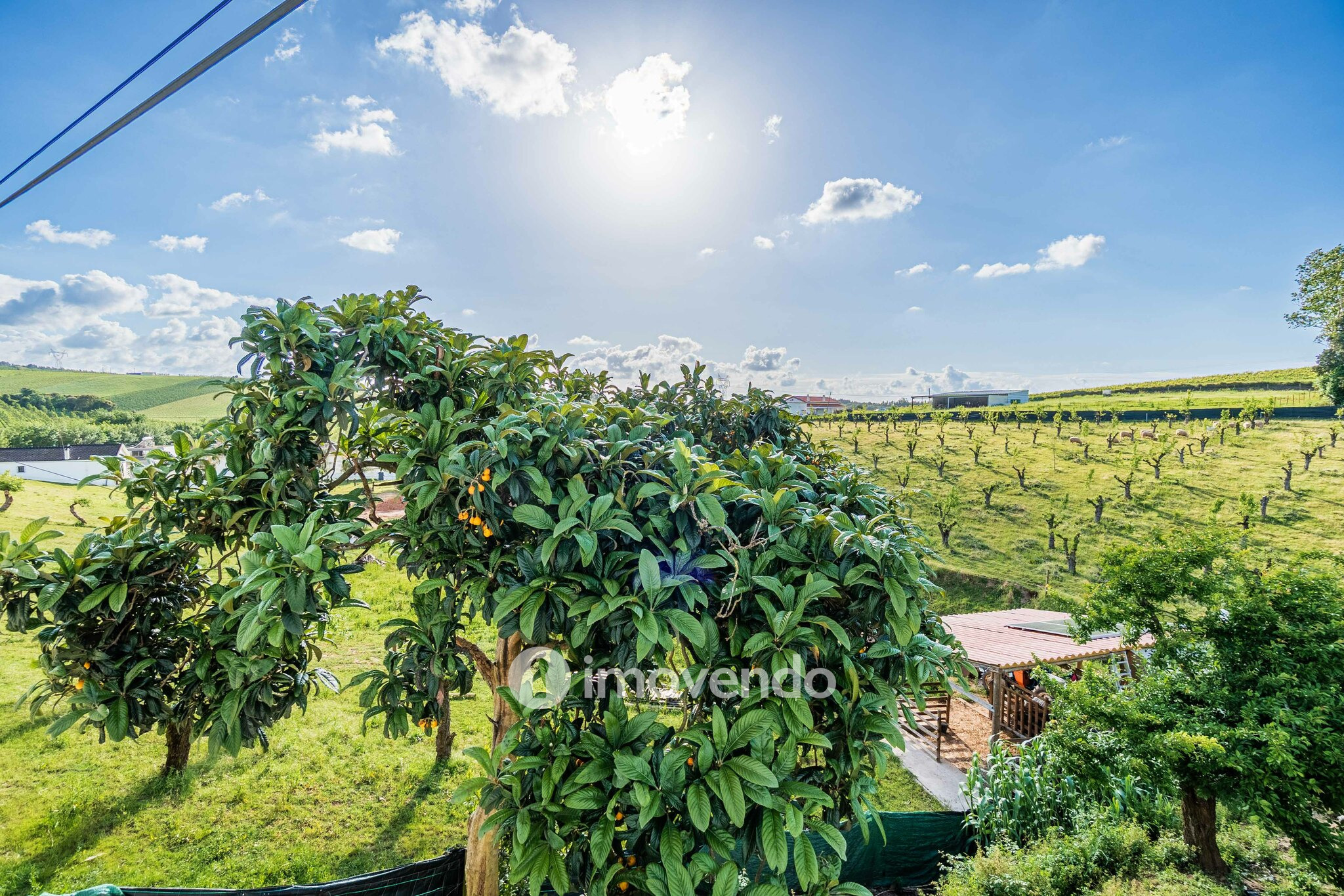 Moradia T2 remodelada, com terreno e rodeada de natureza, no Peral