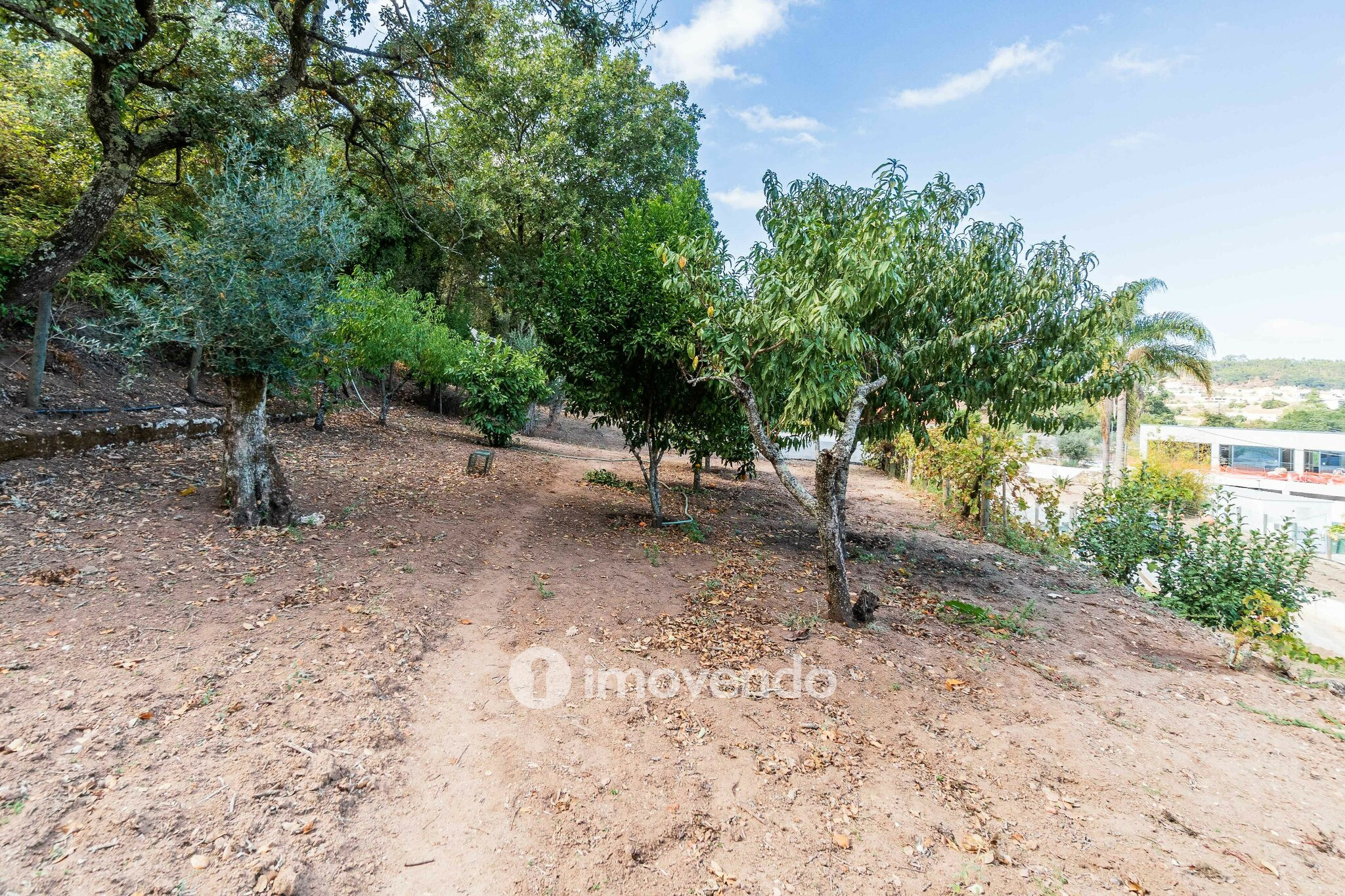 Quinta T3 isolada, com 14.500m² de terreno e piscina, em Loures