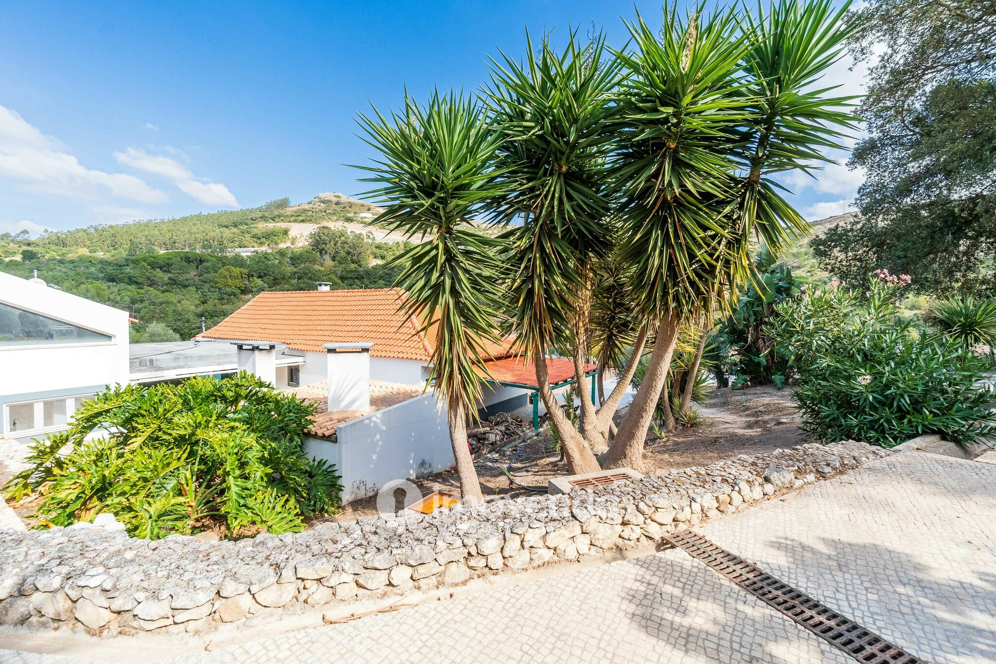 Quinta T3 isolada, com 14.500m² de terreno e piscina, em Loures