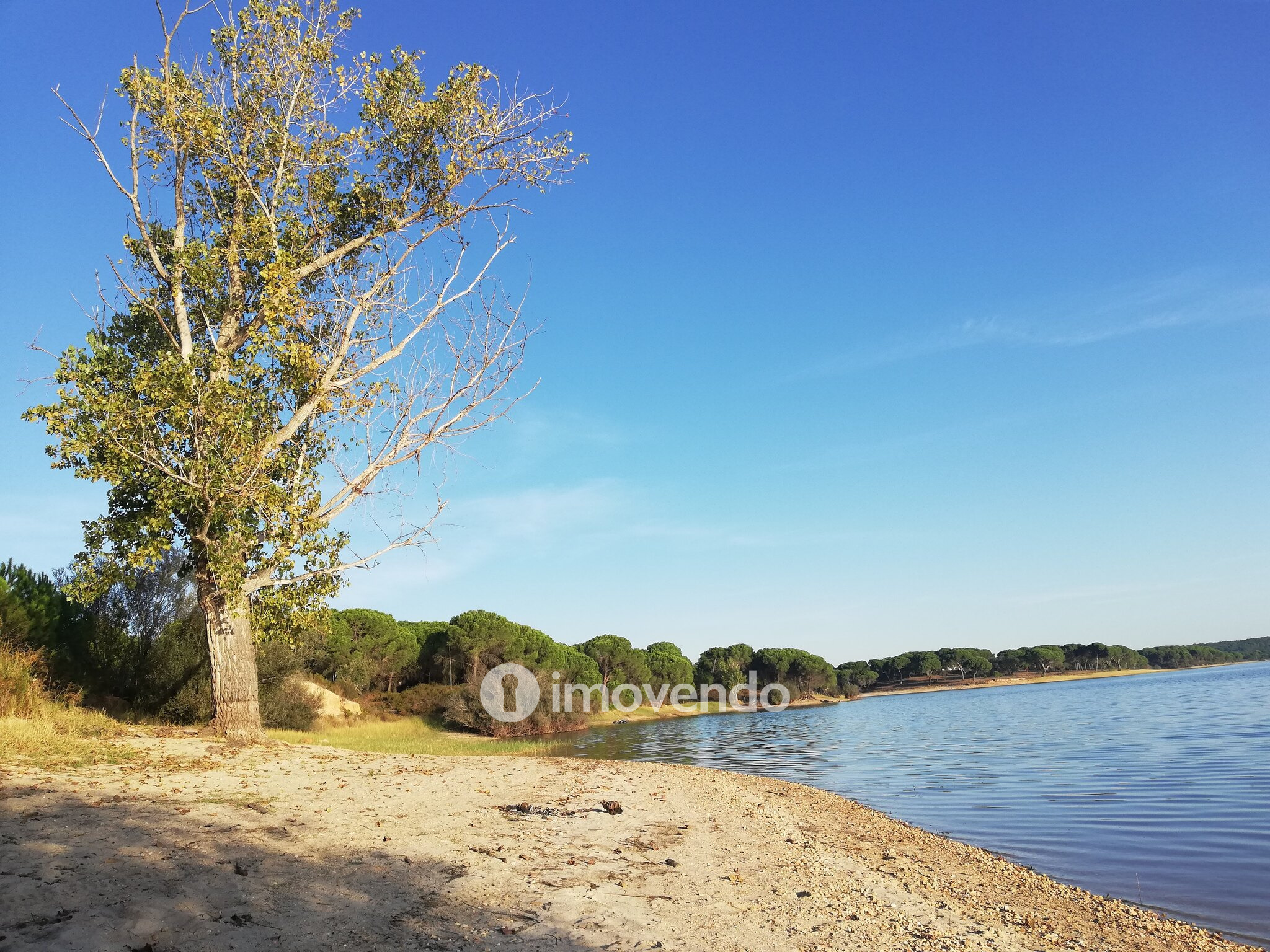 Moradia T4 incrível, com terreno de 4.200m², no Rebocho, Coruche