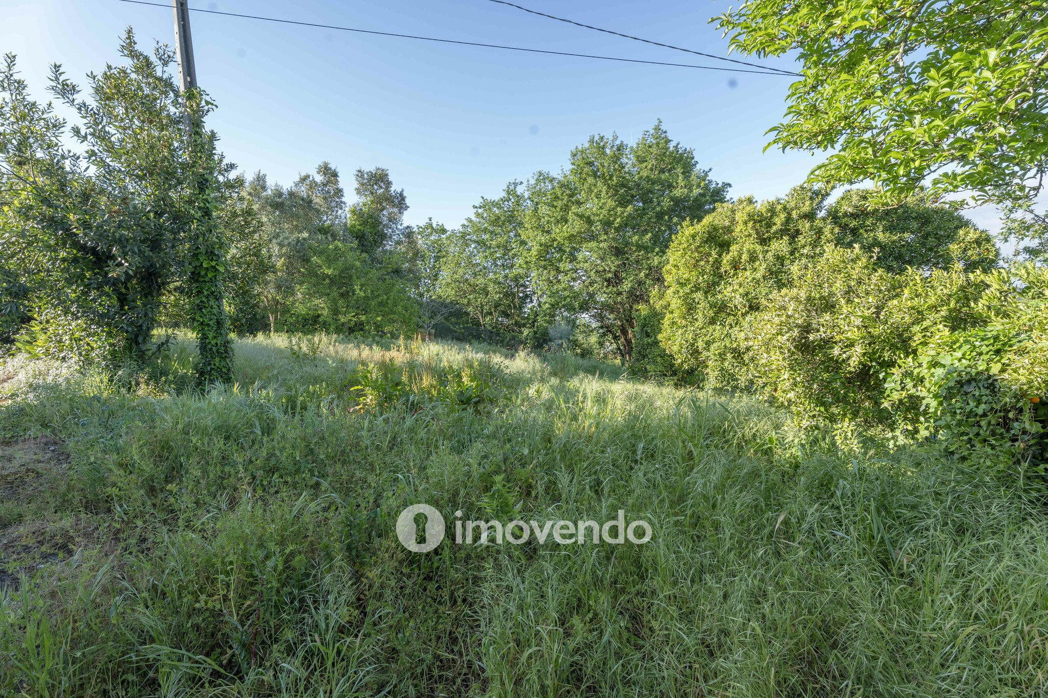 Moradia isolada T4, com terreno de 1.464m², no Travassô, Aveiro