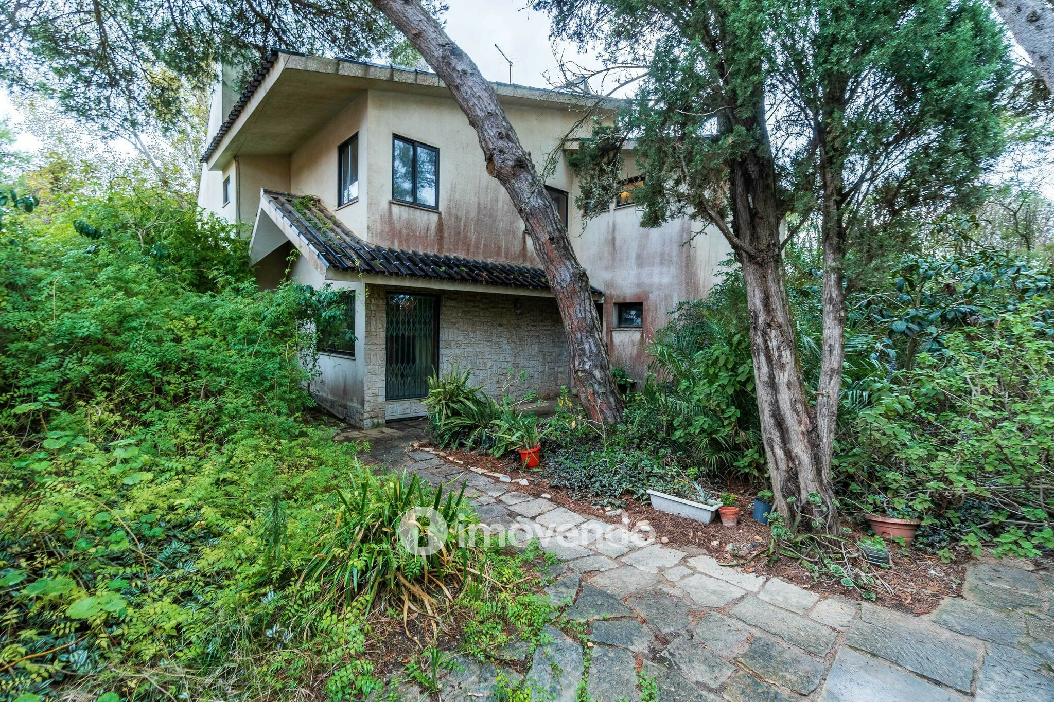 Moradia T7 num terreno com 1.700m², numa zona premium, em Birre