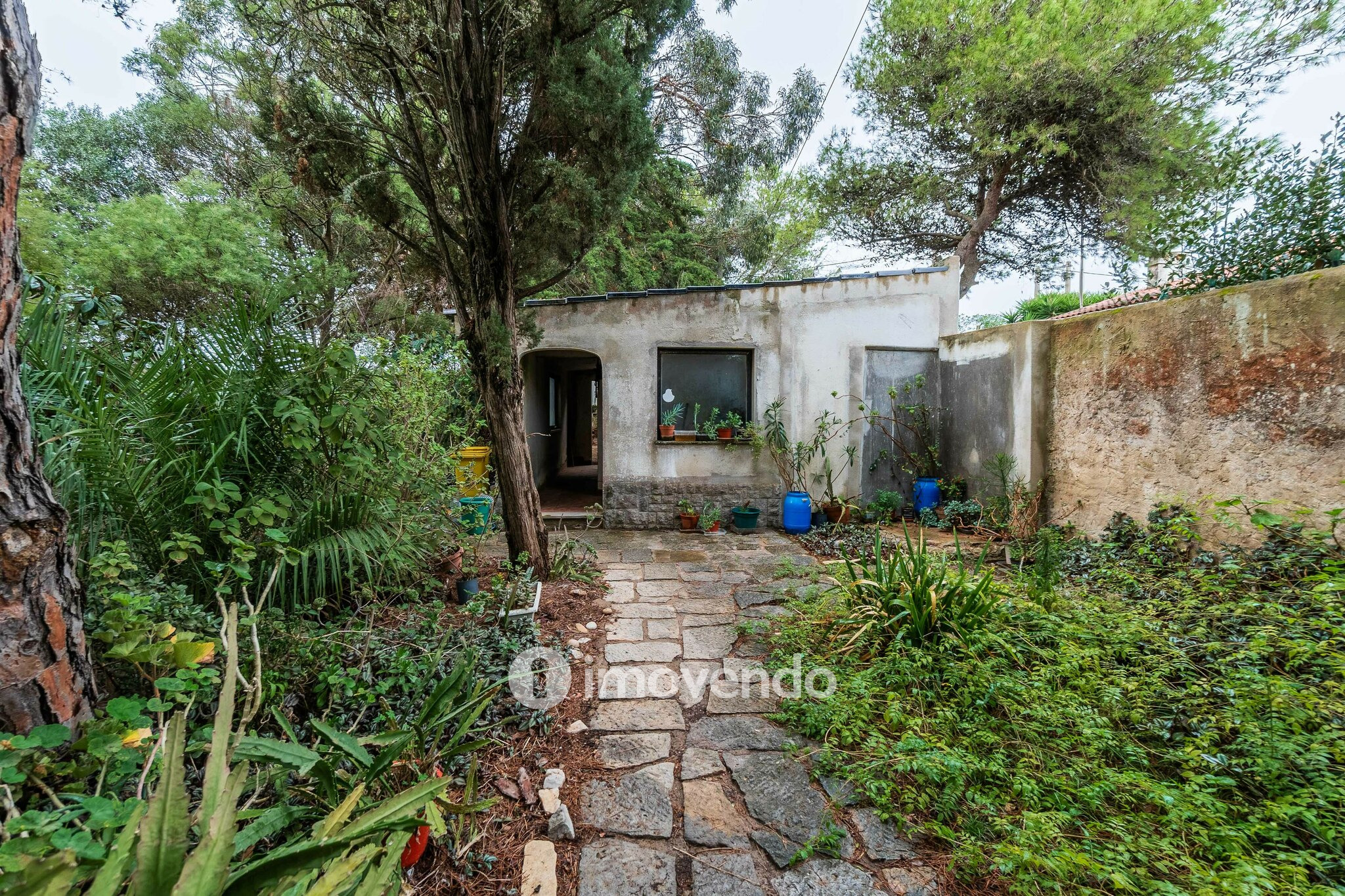 Moradia T7 num terreno com 1.700m², numa zona premium, em Birre