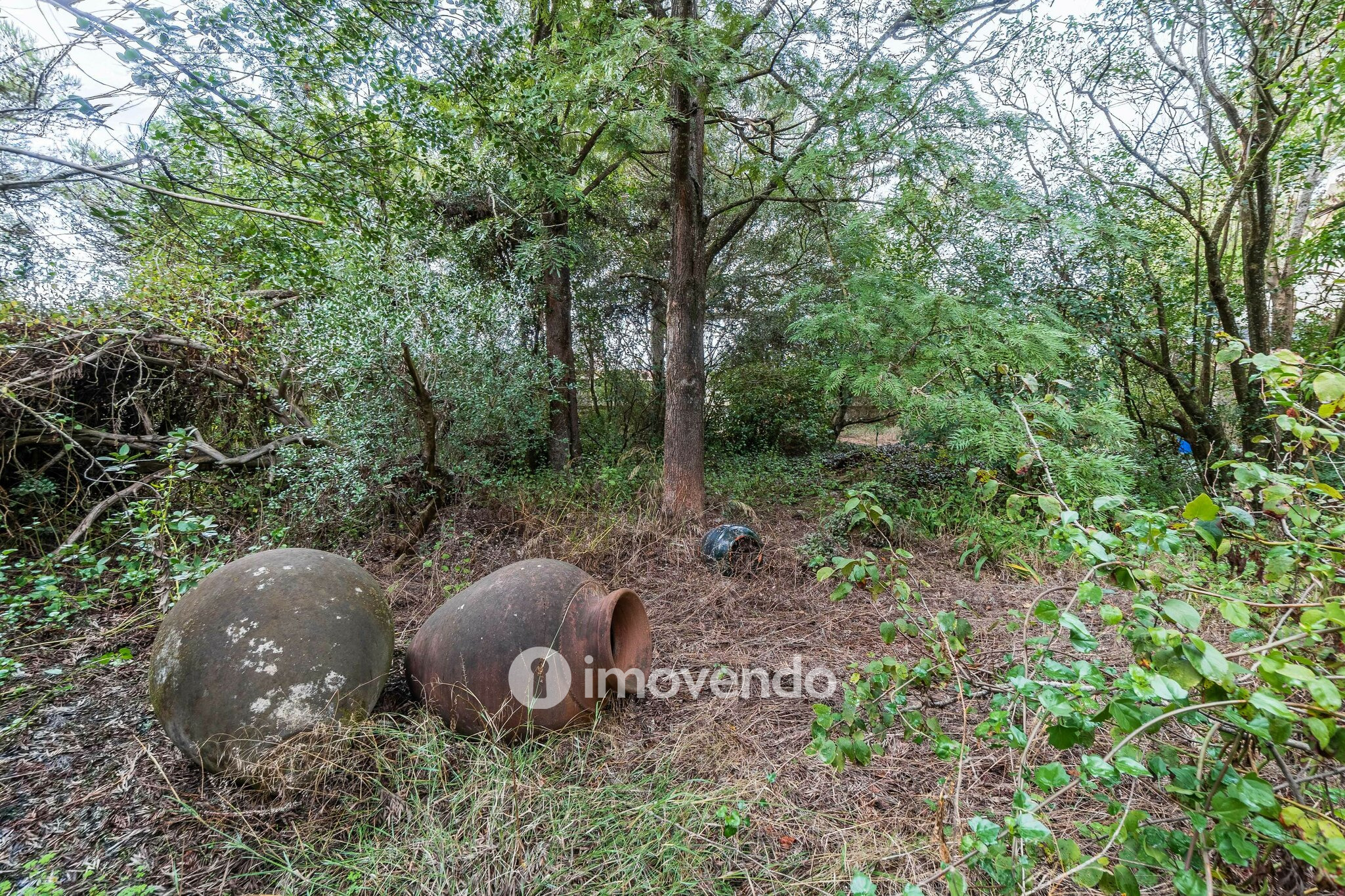 Moradia T7 num terreno com 1.700m², numa zona premium, em Birre