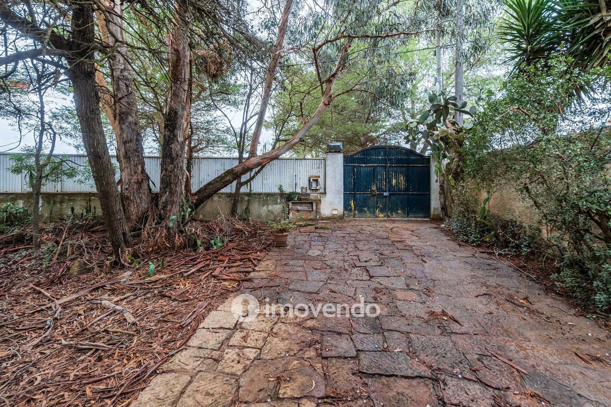 Moradia T7 num terreno com 1.700m², numa zona premium, em Birre