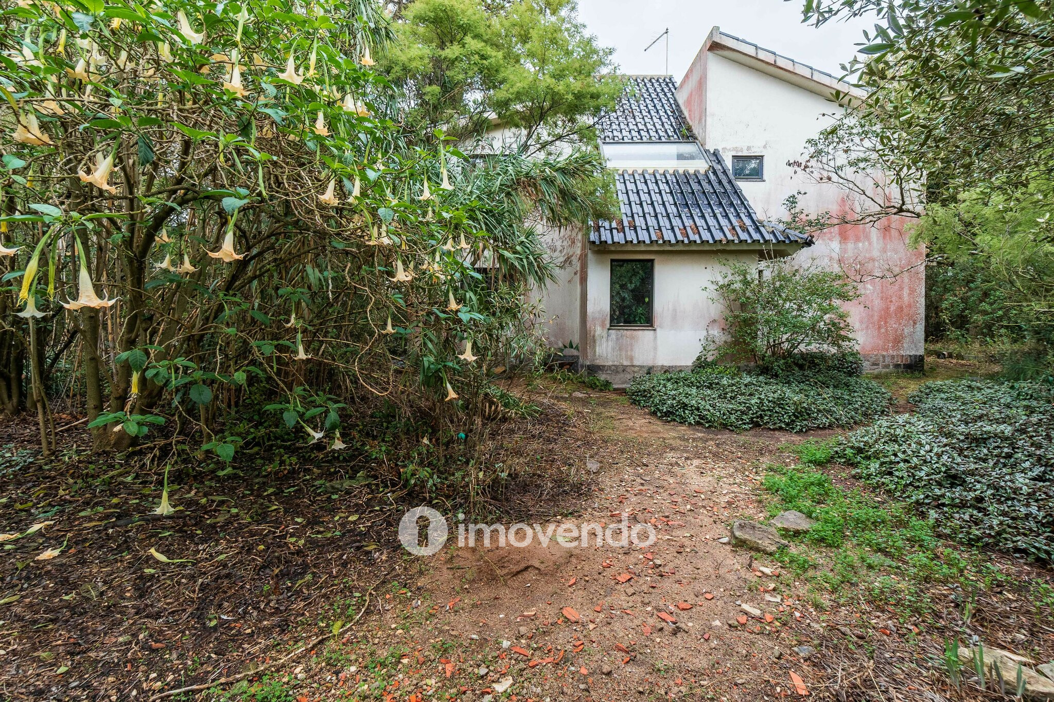 Moradia T7 num terreno com 1.700m², numa zona premium, em Birre