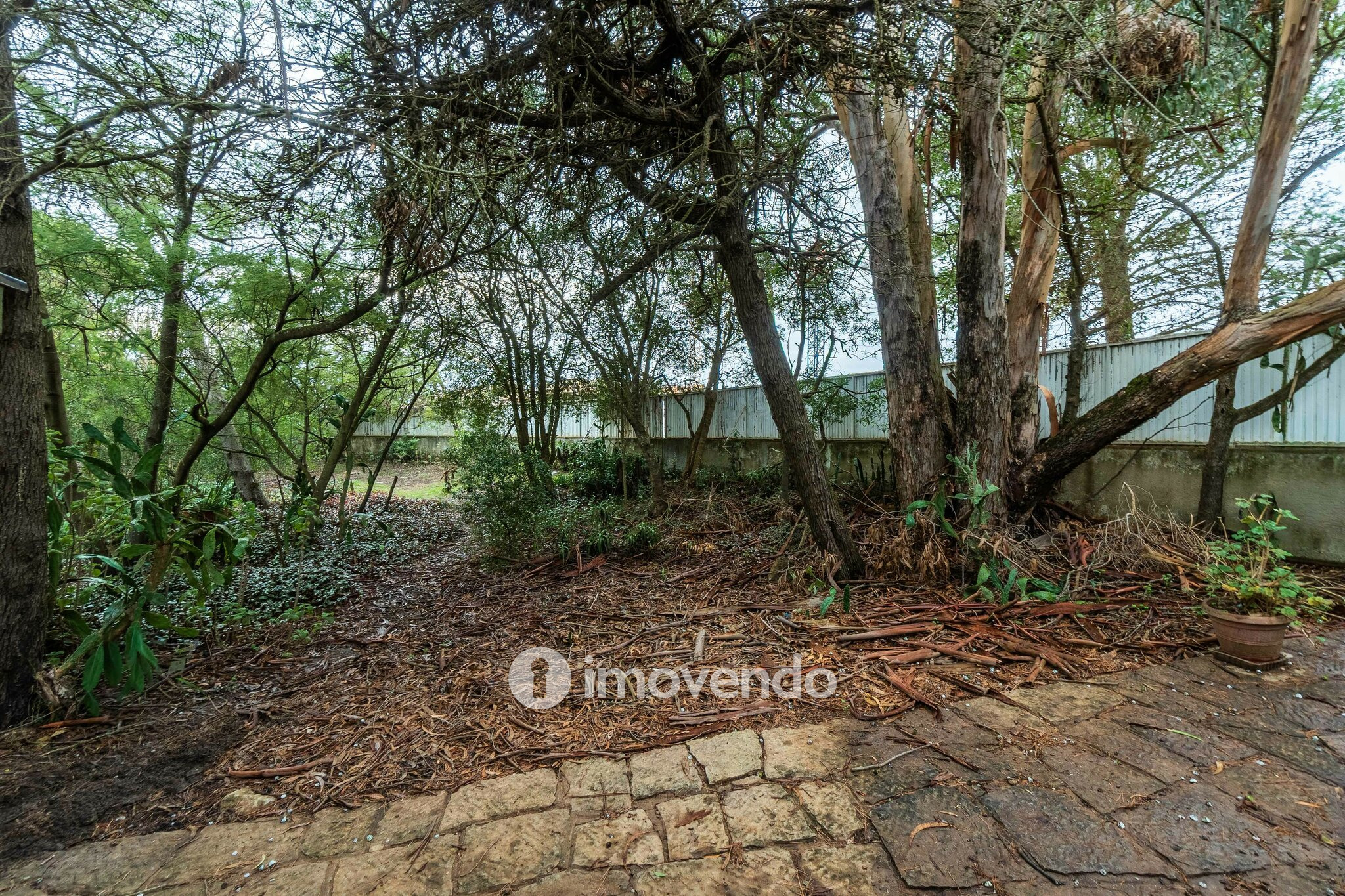 Moradia T7 num terreno com 1.700m², numa zona premium, em Birre