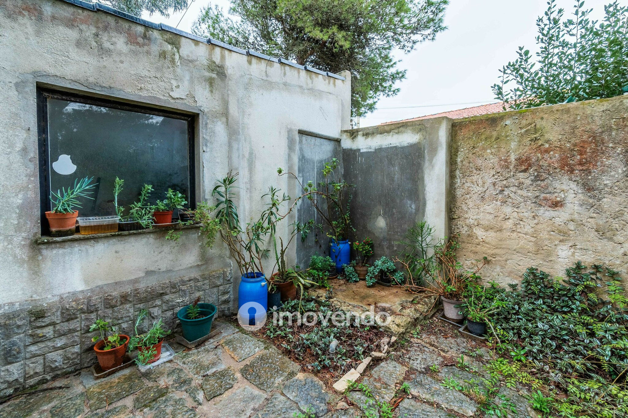 Moradia T7 num terreno com 1.700m², numa zona premium, em Birre