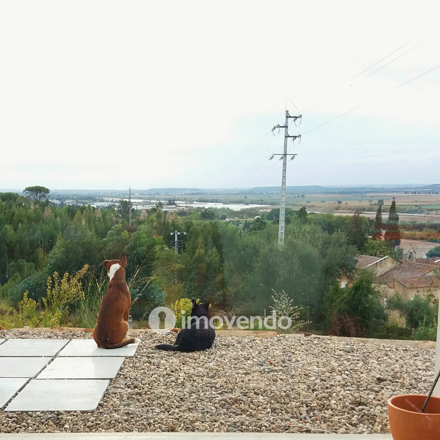 Moradia T4 única, com esplendorosas vistas sobre a paisagem Ribatejana