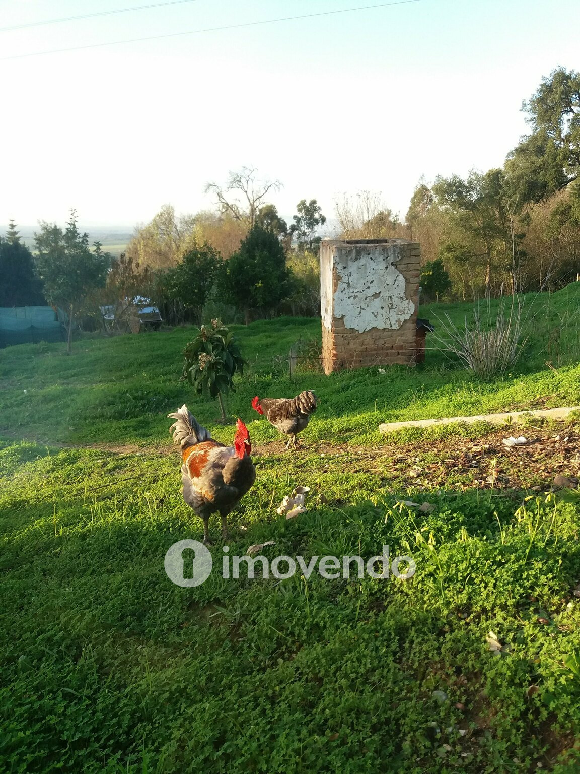 Moradia T4 única, com esplendorosas vistas sobre a paisagem Ribatejana