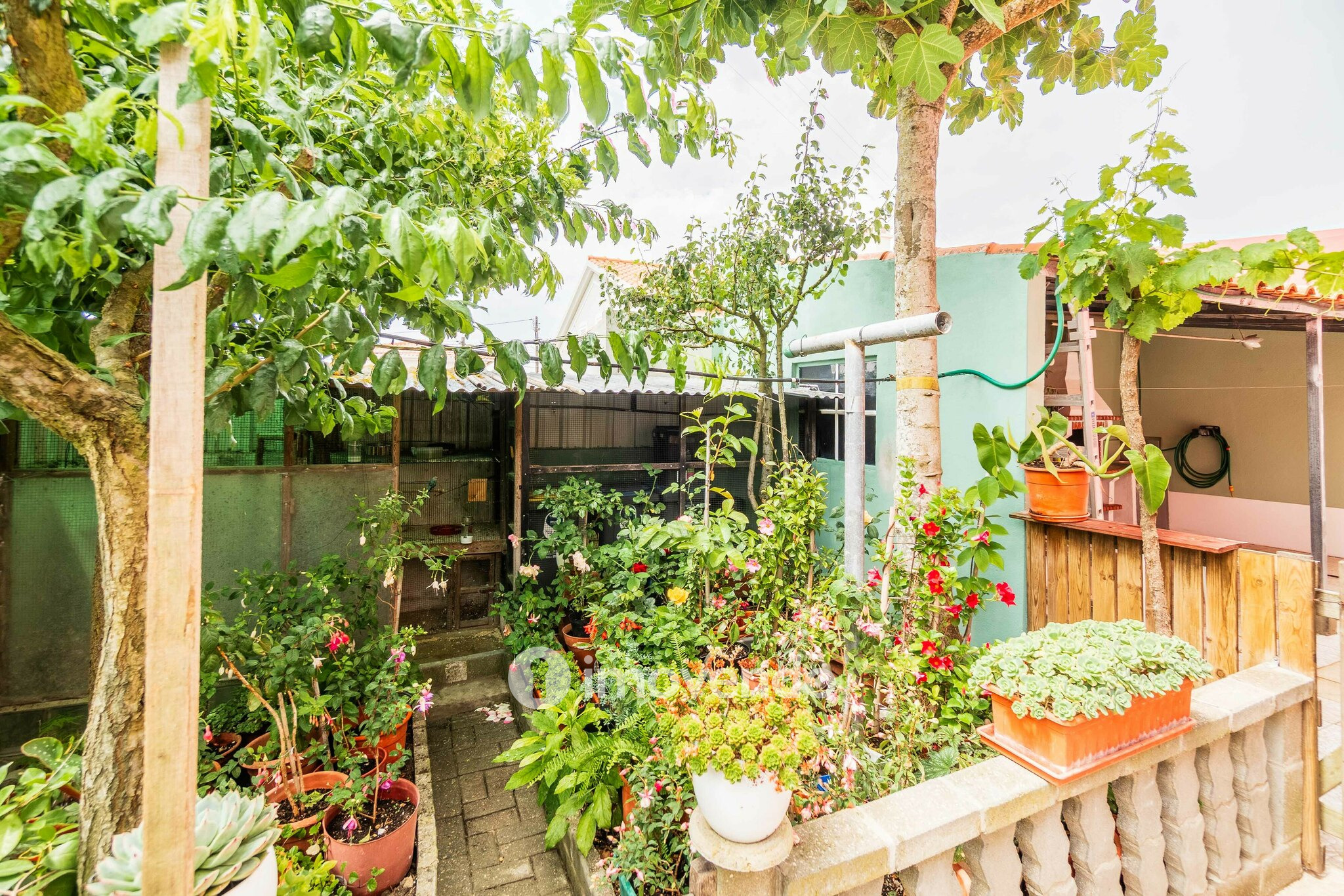 Moradia isolada T2+2, com garagem e jardim, em Azeitão