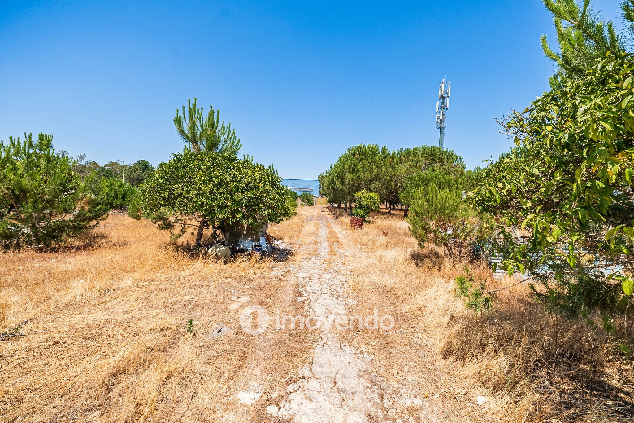 Moradia T3, com um terreno enorme de 5960m², na Quinta do Anjo