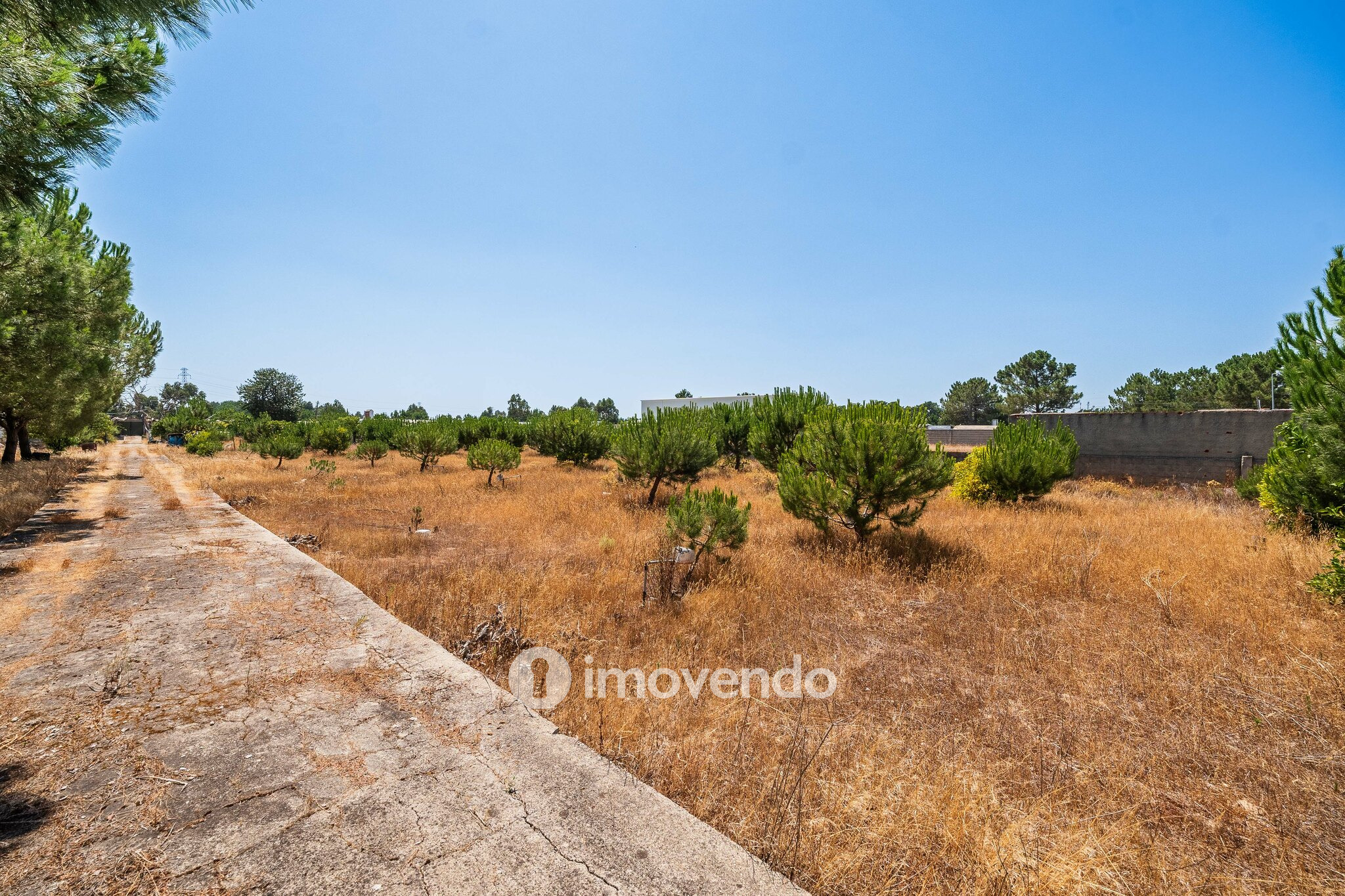 Moradia T3, com um terreno enorme de 5960m², na Quinta do Anjo