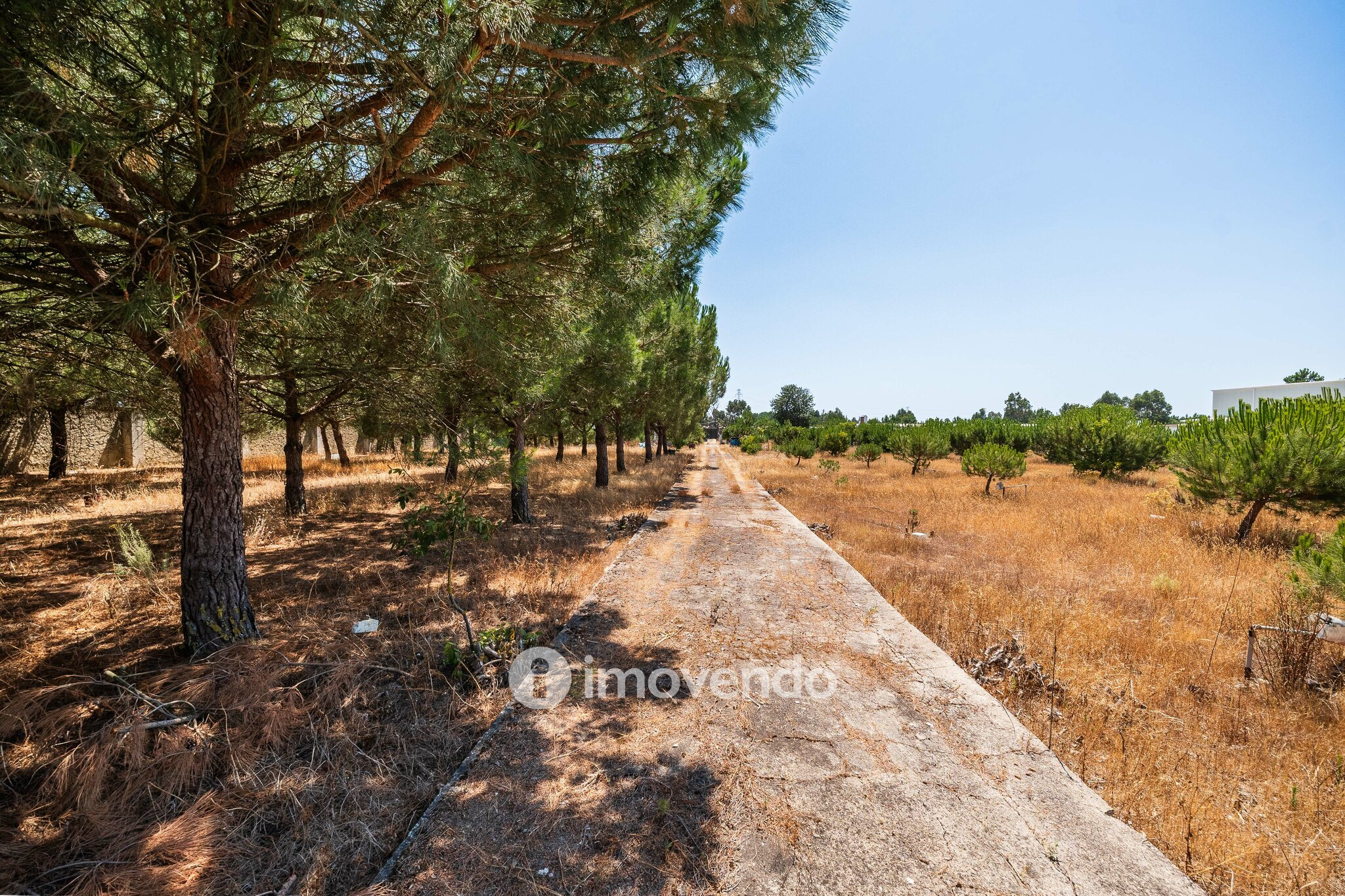 Moradia T3, com um terreno enorme de 5960m², na Quinta do Anjo