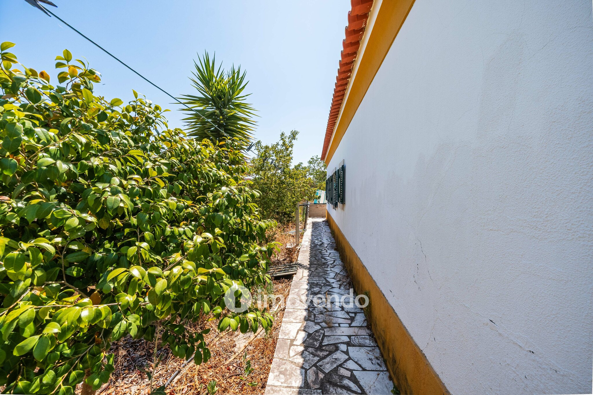 Moradia T3, com um terreno enorme de 5960m², na Quinta do Anjo